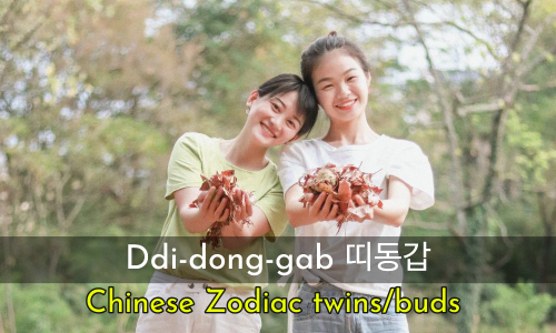 Ddi-dong-gab 띠동갑